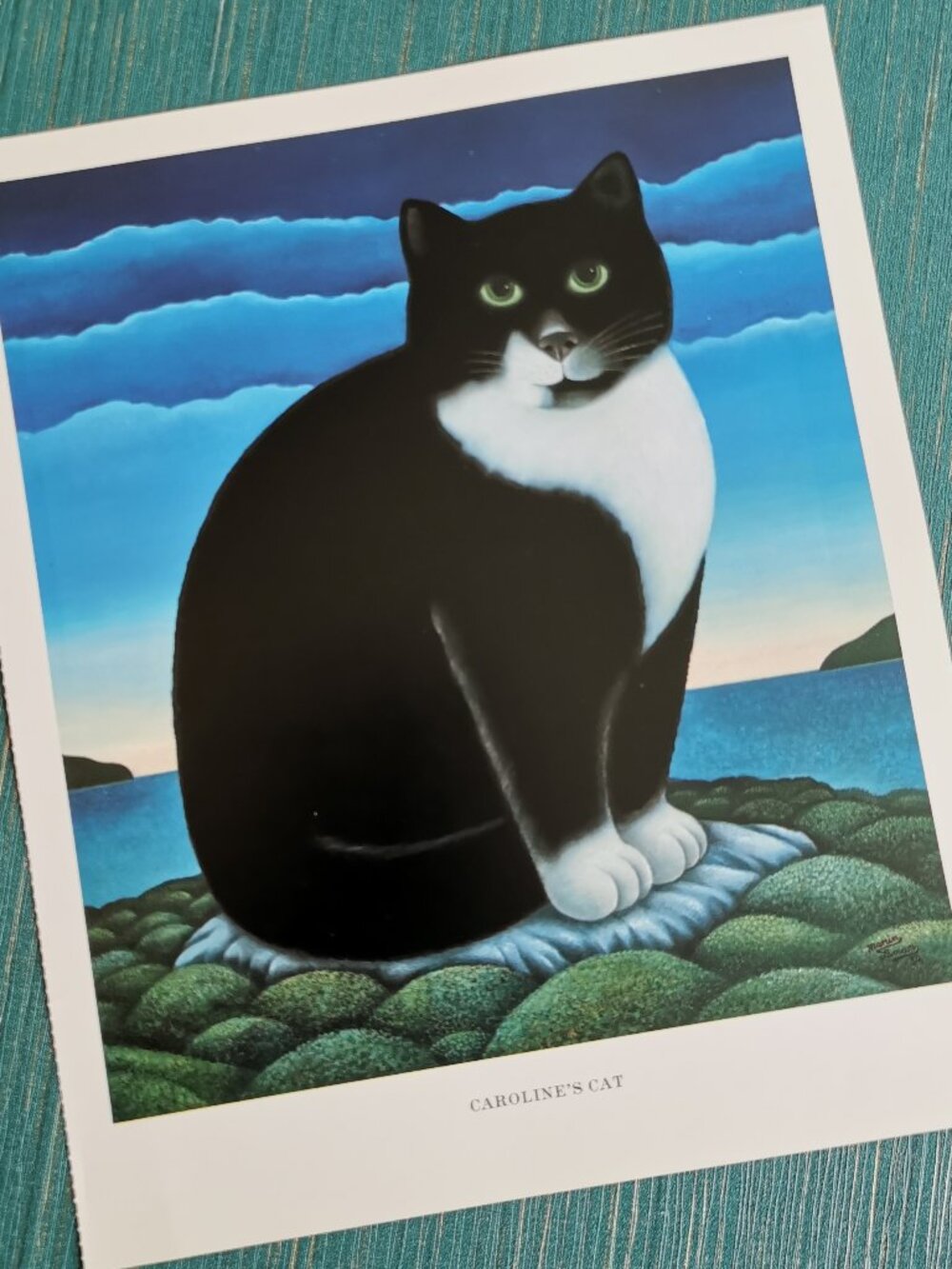 Caroline's Cat by Martin Leman Tuxedo Cat Art Print Kitty Black White Cat Lover
